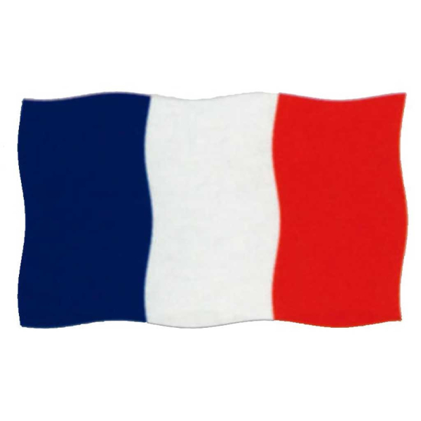 Bandera Francia 150x100 cm