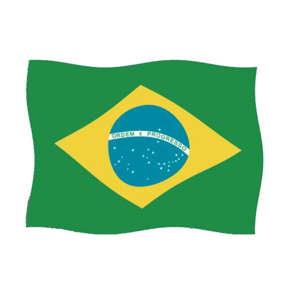 Bandera Brasil 150x100 cm