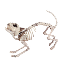Esqueleto Gato con luz y sonido