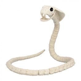 Esqueleto serpiente 102cm