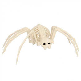 Esqueleto araña 35cm
