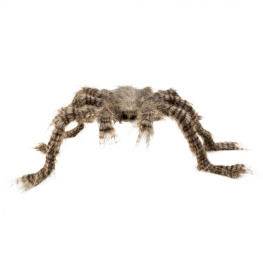 Araña peluda 50x70cm